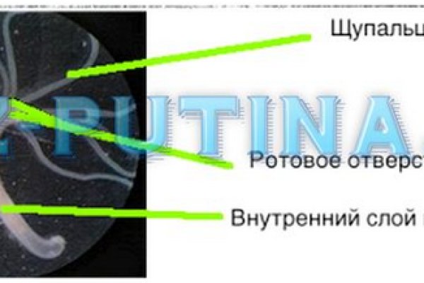 Кракен современный даркнет маркет плейс